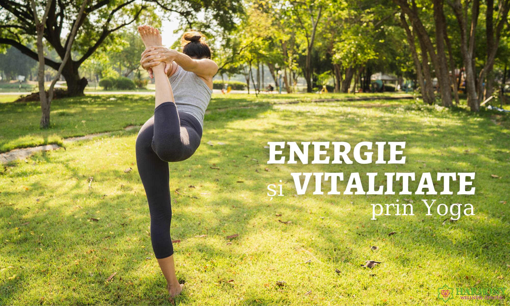 yoga vitalitate harmony wellness center craiova